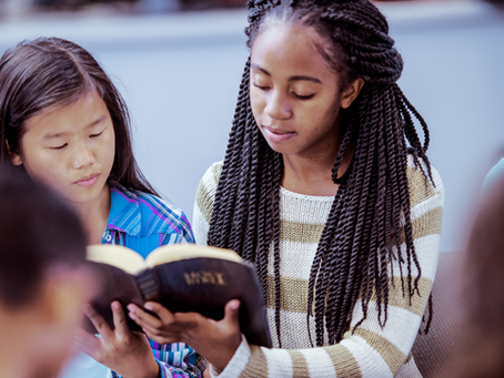 What should you learn in school?